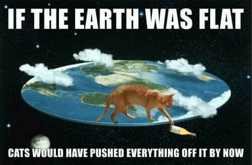 meme - flat earth cats 1